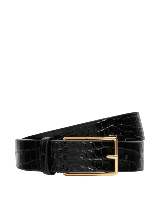 Dear Frances Alessio Belt, Croco