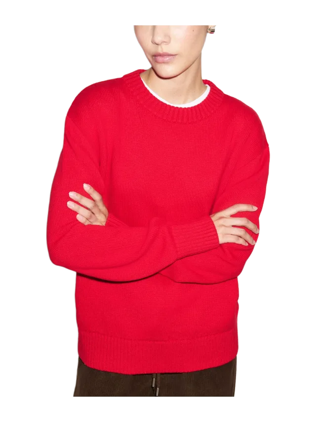 Aligne Dion Crew Neck Knit