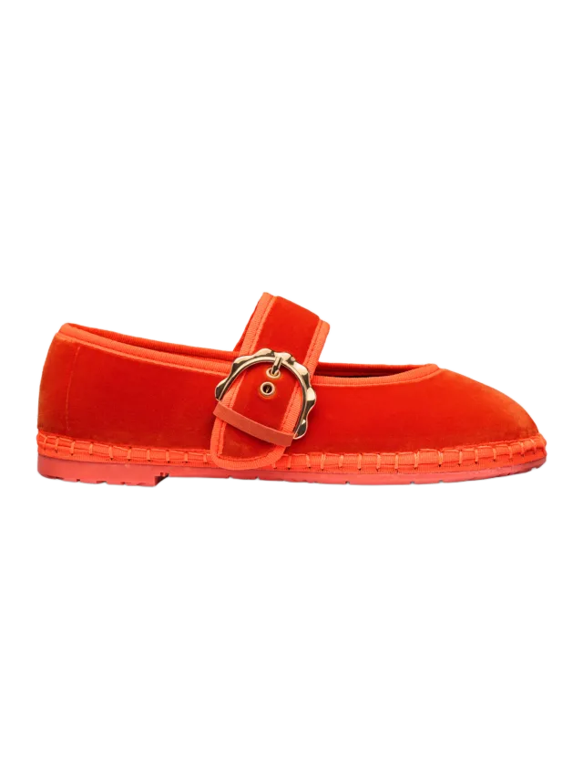 Flabelus Lady Sophie Orange