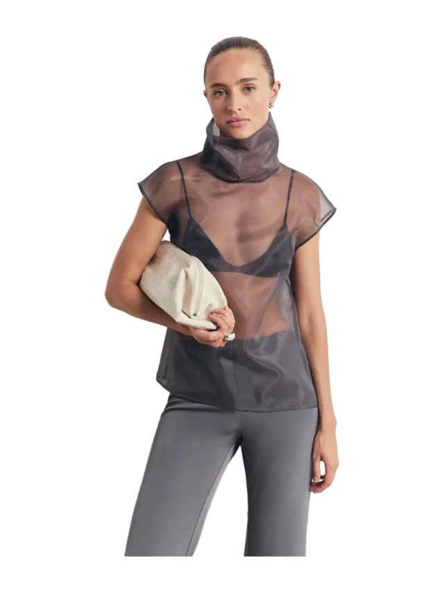 Because of Alice Sheer Organza Funnel Neck Blouse - Slate