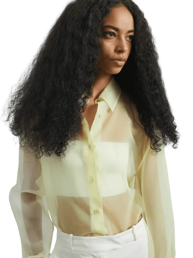 The Frankie Shop Sheer Shirt