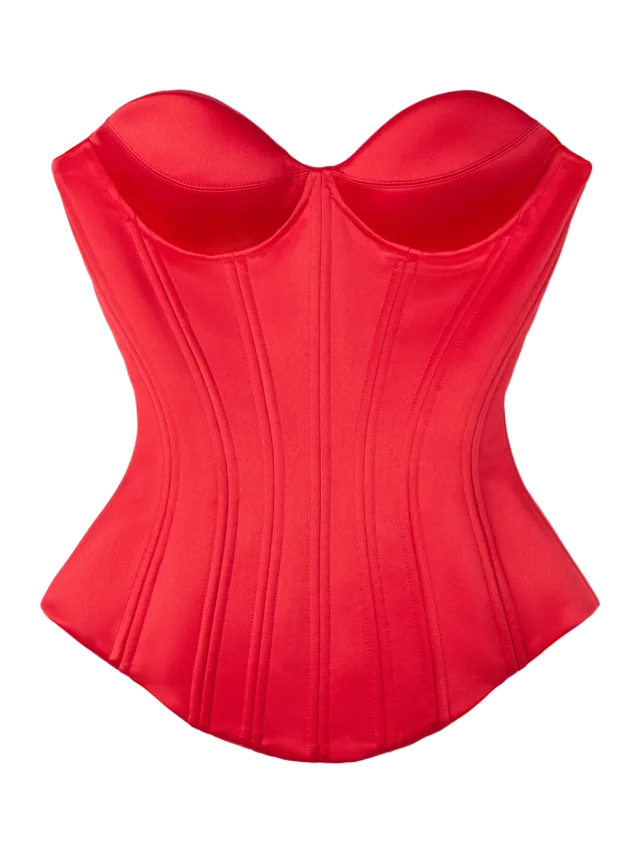 Fancì Club Skinroot Bustier Corset