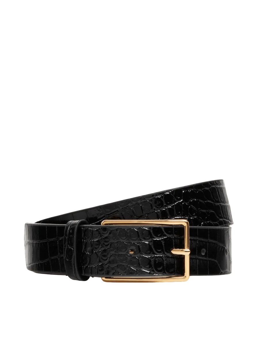 Dear Frances Alessio Belt, Croco