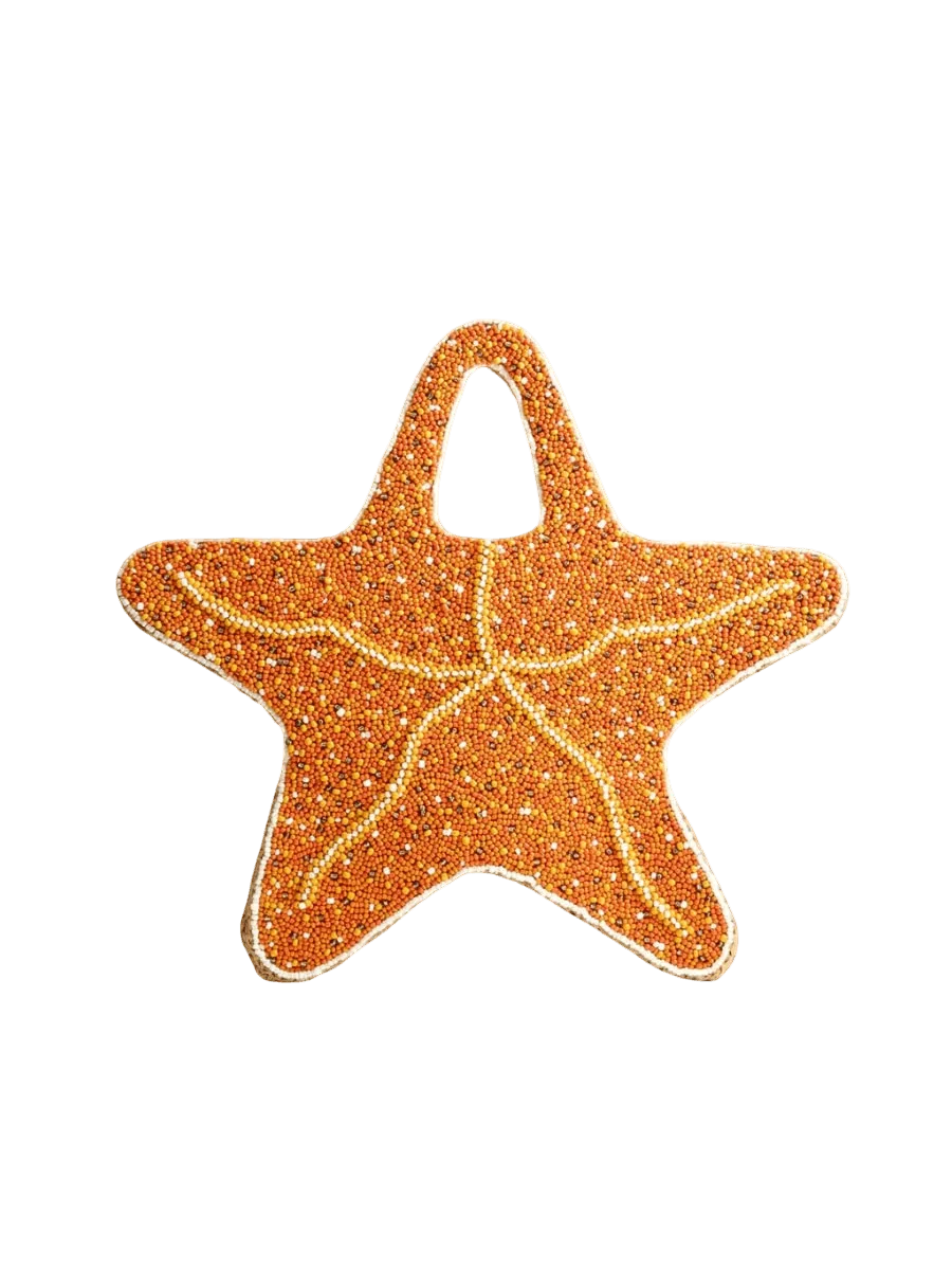Beaded Starfish Bag In Orange/Natural