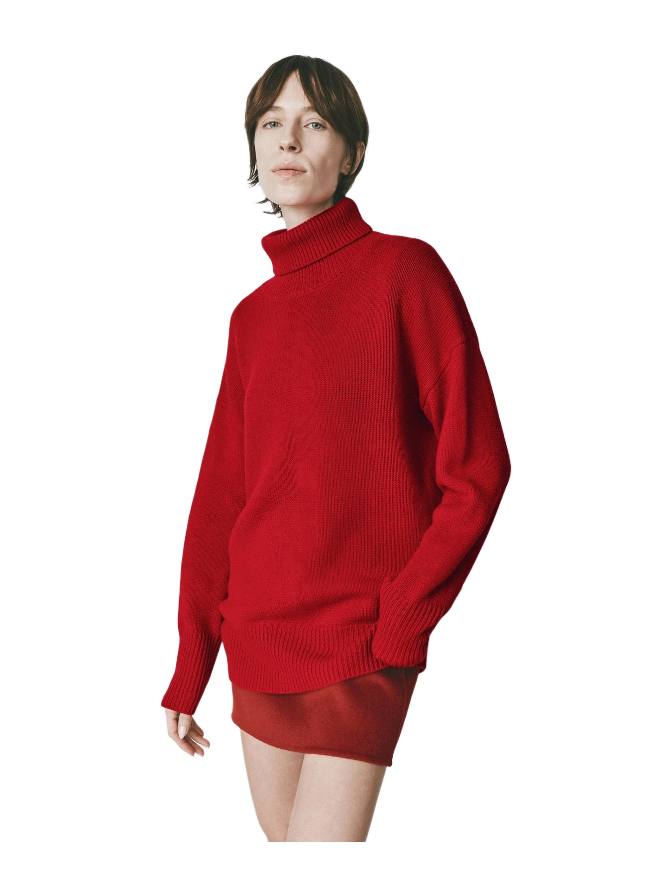 Rue Sophie Garches Turtleneck Sweater