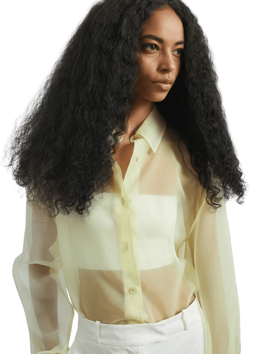 The Frankie Shop Sheer Shirt