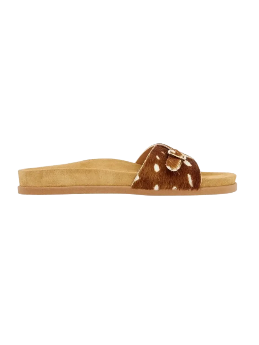 Ancient Greek Sandals Stoa Bambi