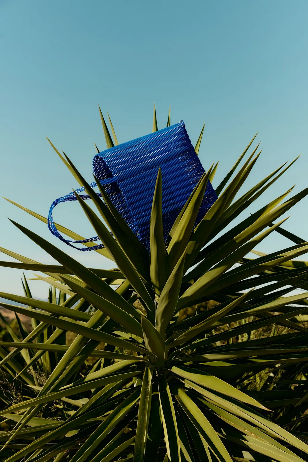 Objects Disguised as Bags
