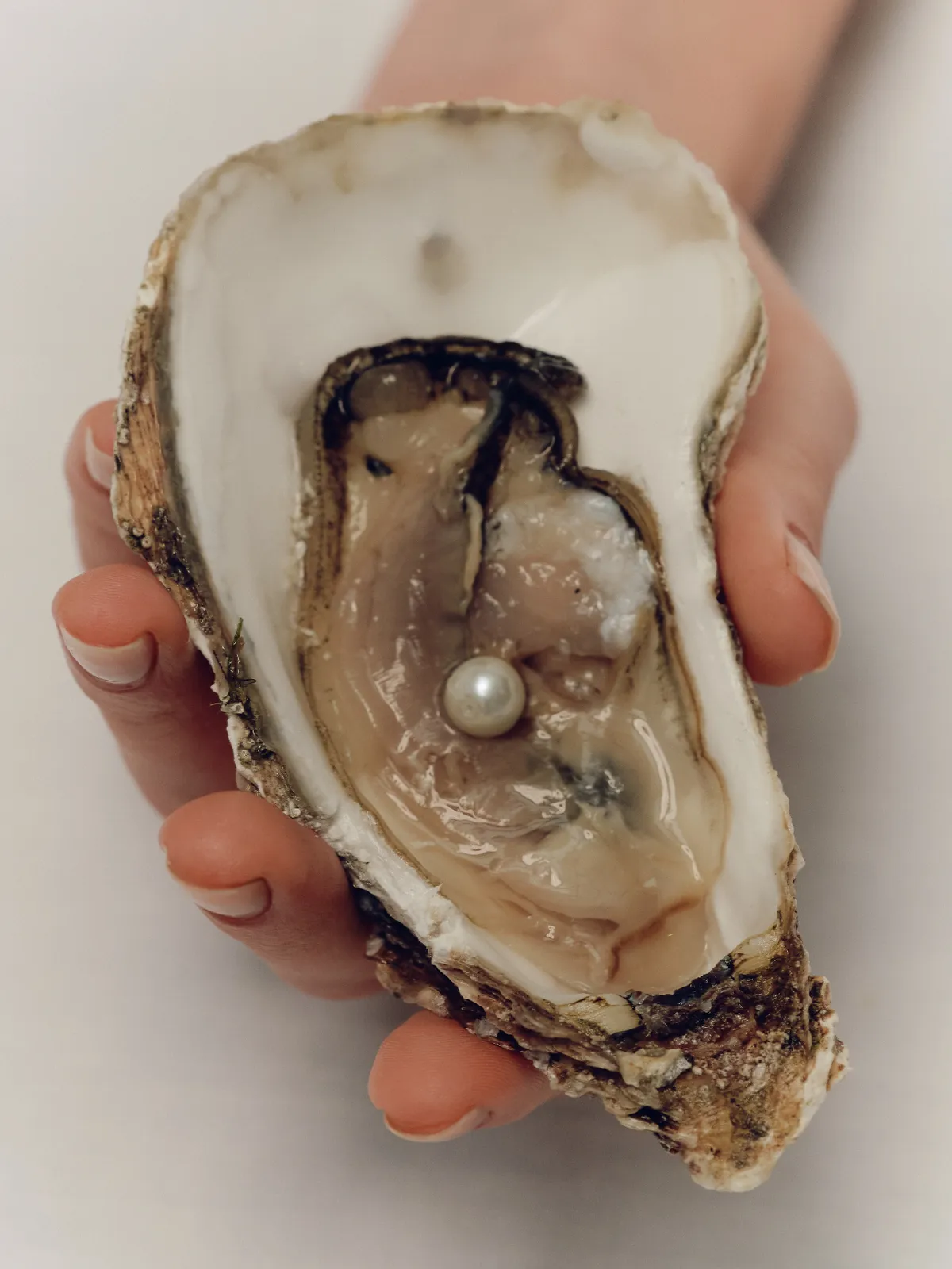 Statement Resort: Sea Creature Jewelry